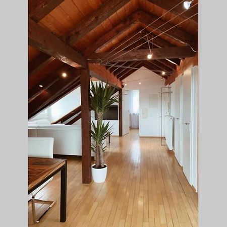 דירות Maulburg *Dreilaendereck* Wifi+ Balkon+Garage Basel Mulhouse מראה חיצוני תמונה