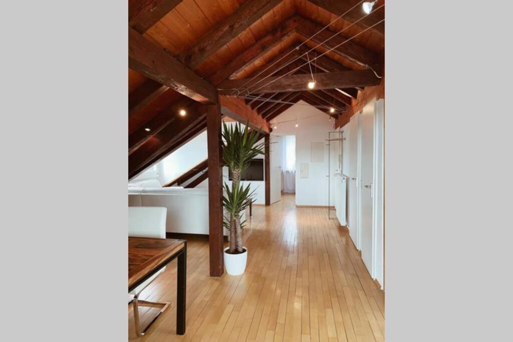 דירות Maulburg *Dreilaendereck* Wifi+ Balkon+Garage Basel Mulhouse מראה חיצוני תמונה