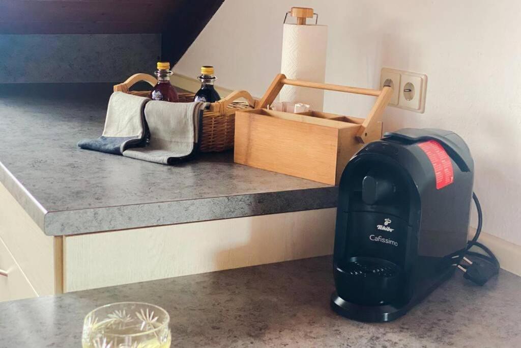 דירות Maulburg *Dreilaendereck* Wifi+ Balkon+Garage Basel Mulhouse מראה חיצוני תמונה