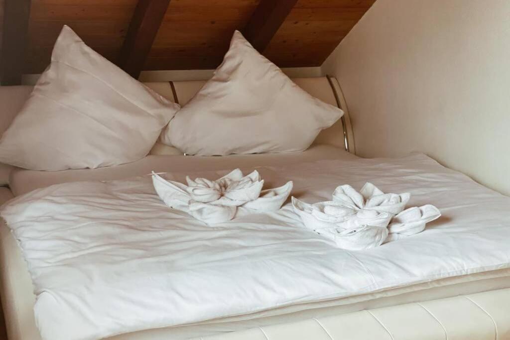 דירות Maulburg *Dreilaendereck* Wifi+ Balkon+Garage Basel Mulhouse מראה חיצוני תמונה