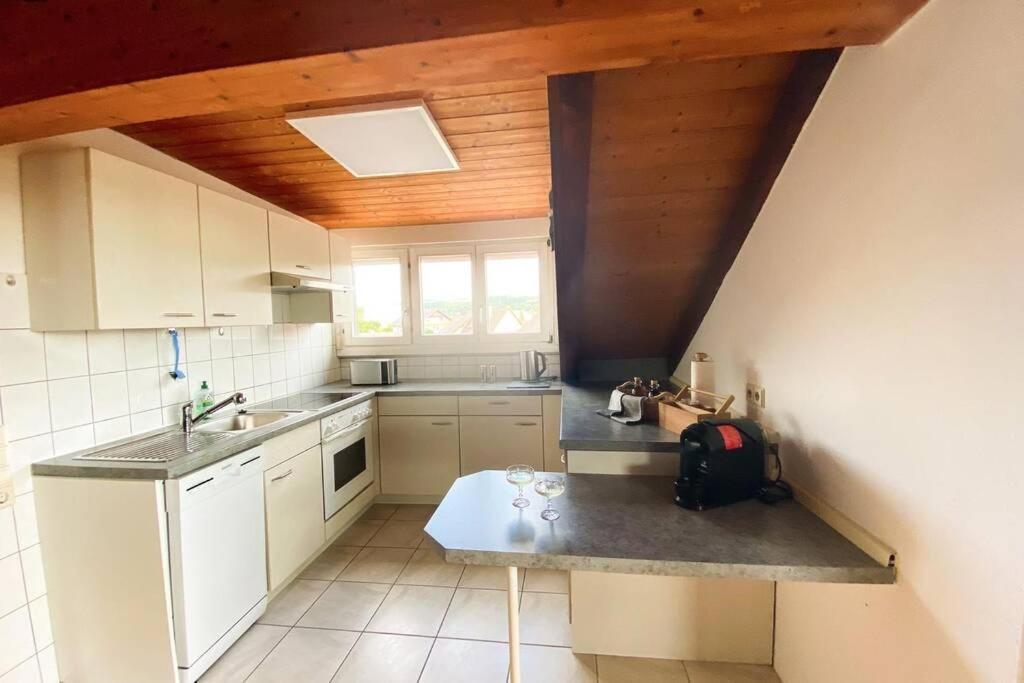 דירות Maulburg *Dreilaendereck* Wifi+ Balkon+Garage Basel Mulhouse מראה חיצוני תמונה