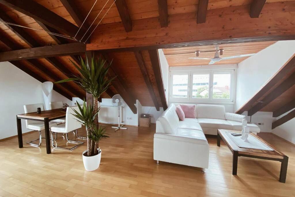 דירות Maulburg *Dreilaendereck* Wifi+ Balkon+Garage Basel Mulhouse מראה חיצוני תמונה