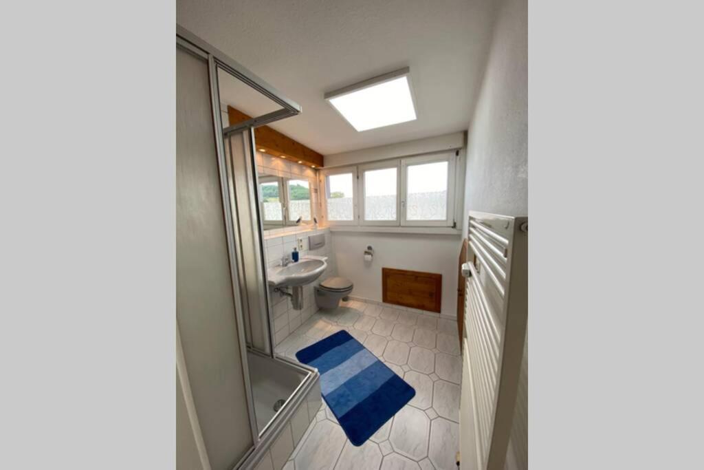 דירות Maulburg *Dreilaendereck* Wifi+ Balkon+Garage Basel Mulhouse מראה חיצוני תמונה
