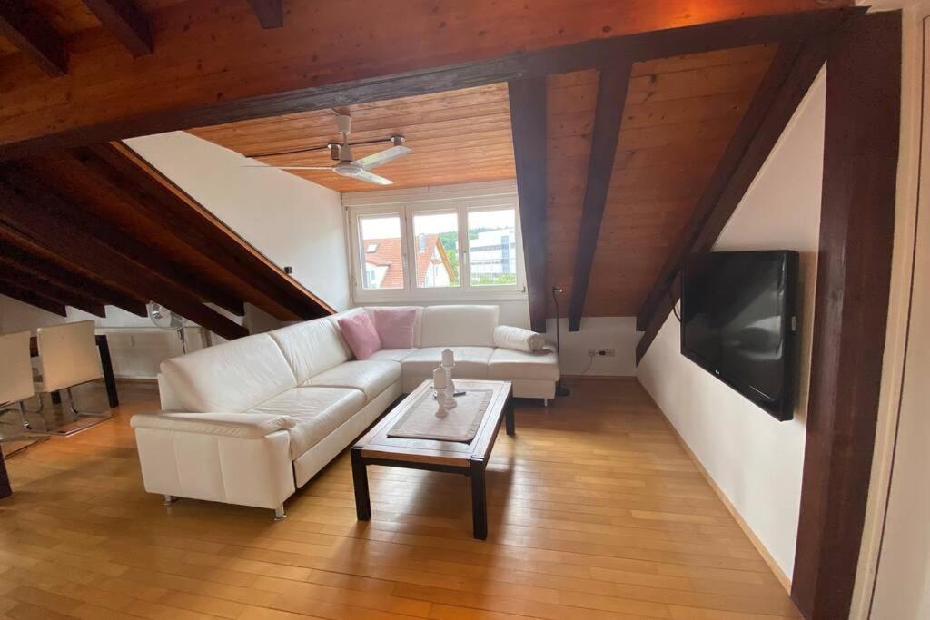 דירות Maulburg *Dreilaendereck* Wifi+ Balkon+Garage Basel Mulhouse מראה חיצוני תמונה