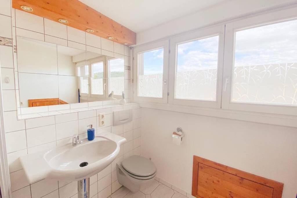 דירות Maulburg *Dreilaendereck* Wifi+ Balkon+Garage Basel Mulhouse מראה חיצוני תמונה